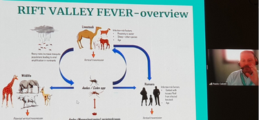 3- The threat of vector-borne Diseases- Dr Calistri
