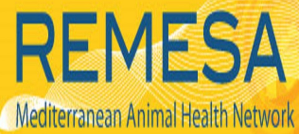 REMESA Cooperation Framework WOAH Middle East