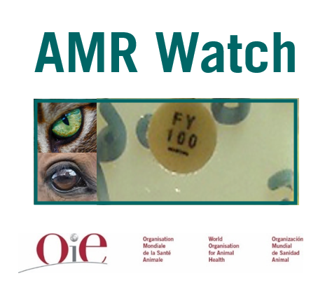 Watches Woah Middle East