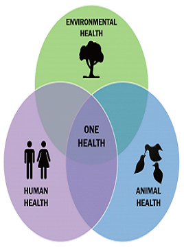 One Health - WOAH Middle-East