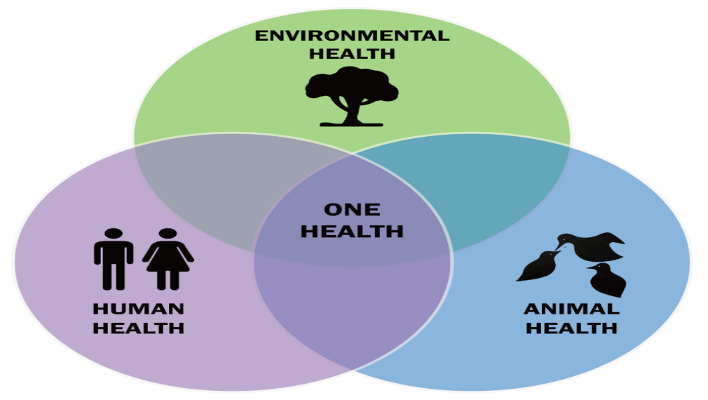 One Health - WOAH Middle-East